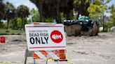 Red tide is back in Florida. Here's what to know about the toxic bloom.