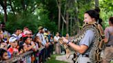 Dallas Zoo has $1 admission for two days this summer, but is it worth the drive?