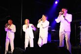 Rubettes