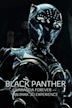 Black Panther II: Wakanda Forever