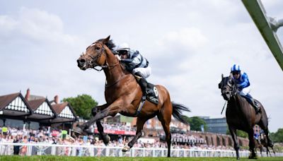 Passenger 'in good shape' for potential Saturday return at York - but late call to be made with Juddmonte on the horizon