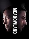 Meadowland (film)