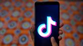 Why Are People Blocking Celebrities? TikTok’s Blockparty and Operation Olive Branch Explained