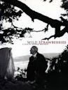 Wild Strawberries (film)