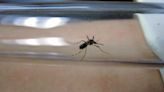 México acumula 23 mil 856 casos de dengue y 49 defunciones: Salud