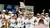 Willard baseball wins second state championship in four years by beating Webster Groves