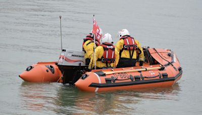 Lifeboat crews dispatched to rescue dog and owner from Eling Creek