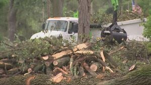 ‘We need to rebuild this;’ Every building, 80% of trees in Greenville park damaged by tornado
