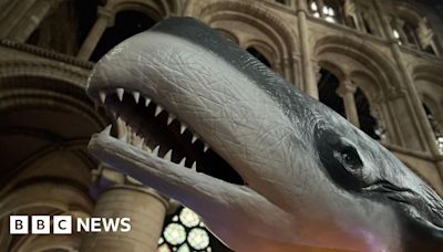 Monsters until midnight plan for Peterborough Cathedral exhibit