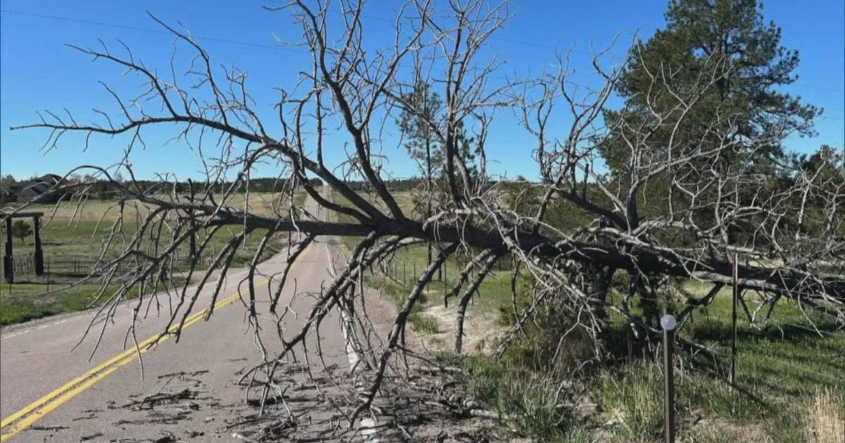 People living in Douglas County shocked by strong wind gusts blowing through Colorado