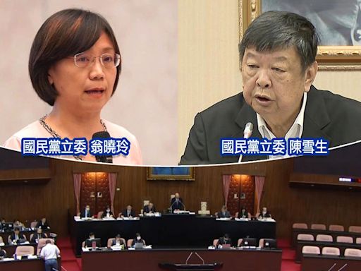 自家都不挺！藍委翁曉玲欲修「憲法訴訟法」明定大法官總額、陳雪生想引中資入離島...雙雙遭退回程序委員會