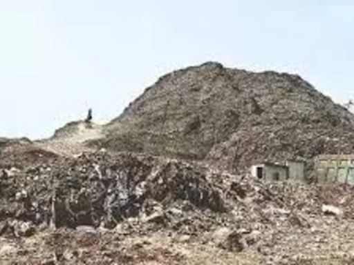 Waste to clean energy: 2 green coal plants for NCR in 3 years | Gurgaon News - Times of India