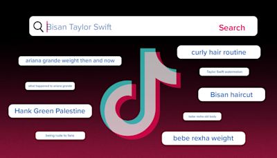 How 'blue comments' turned the TikTok algorithm into a protest tool