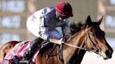 'I can't wait until he comes' - Richard Hannon poised to welcome Breeders' Cup winner Unquestionable