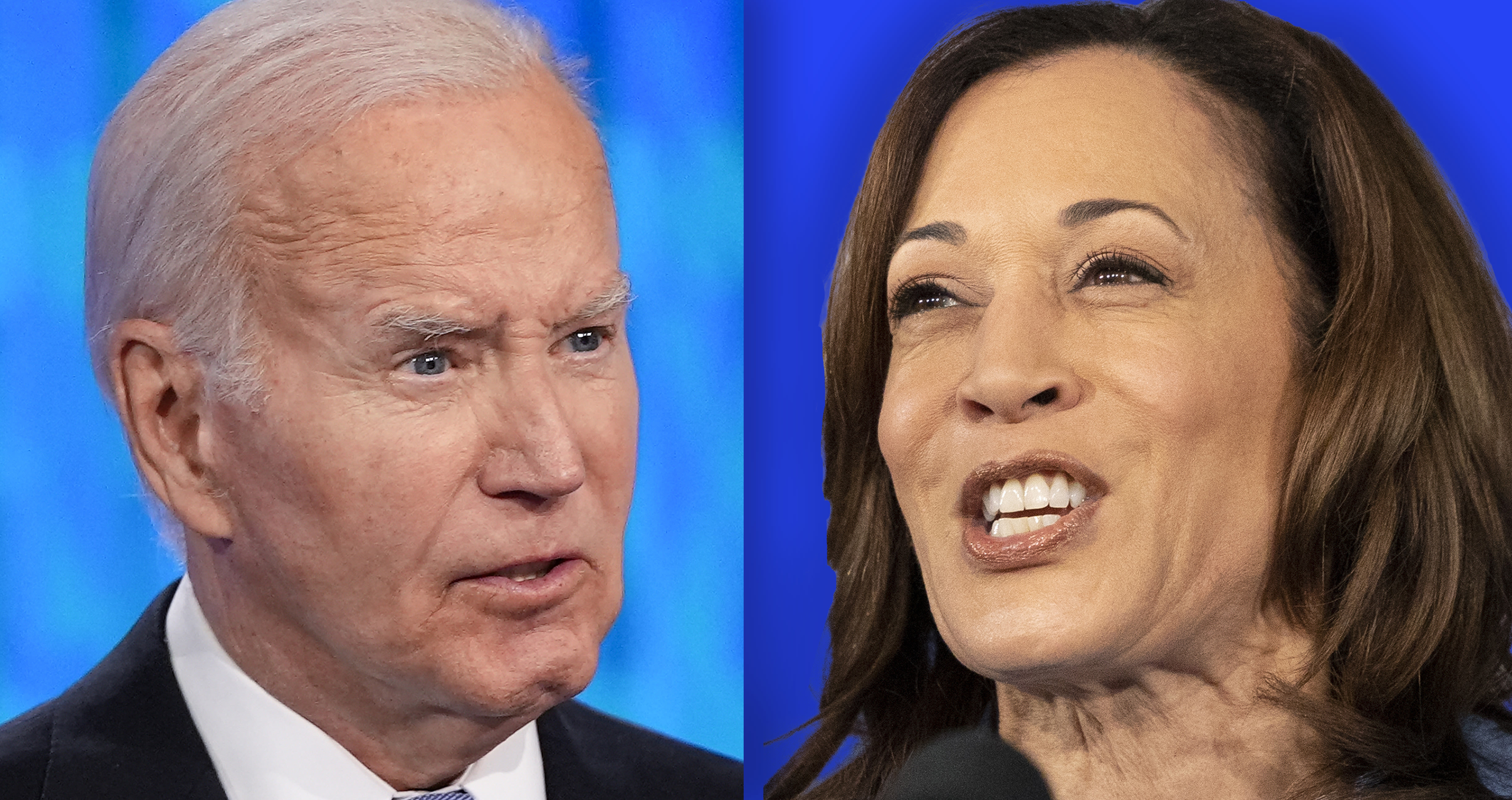 Who could replace Biden as the Democratic nominee?