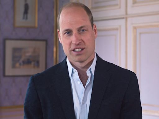 Prince William Gives Surprise Video Address at Steve Irwin Gala Amid Prince Harry's Tour in Nigeria