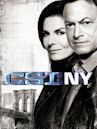 CSI: NY