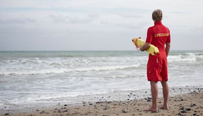 Boy, 14, training to be lifeguard accidentally jumped on shark - then found out