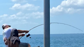 Tug of war on Sunshine Skyway Bridge ends with a surprise 200-pound goliath grouper