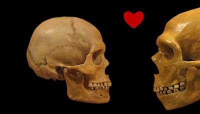 Humans And Neanderthals Had a Longer, More Intertwined Relationship Than We Thought