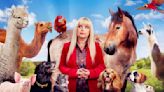 The Pet Psychic: What's Your Dog Thinking? — where to watch, host, episode guide, trailer and everything we know