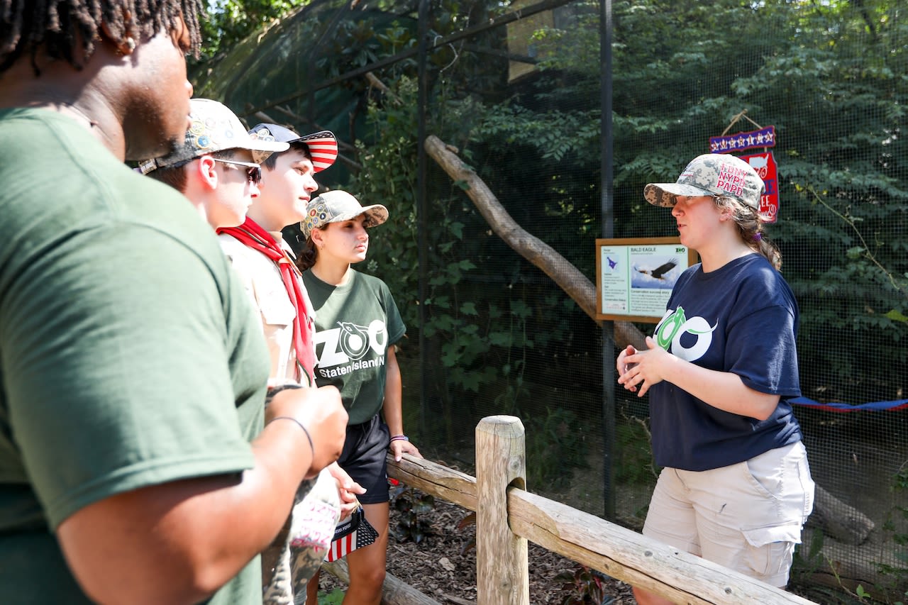 Staten Island Zoo commemorates National Bald Eagle Day