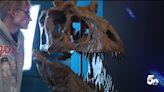 3D printed skull of rare Tyrannosaur unveiled in Woodland Park Wednesday, dubbed 'Murder monster'