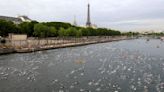 Paris mayor is confident that water quality will allow Olympic swimming in the River Seine