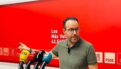 El PSOE pide los informes técnicos que avalan la tala de todas las palmeras de Pedro Juan Perpiñán