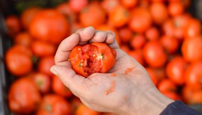 Not Hand-Crushing Your Canned Tomatoes Is A Big Textural Mistake