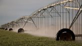 Arizona's groundwater regulation weaknesses exploited by industrial-scale agriculture