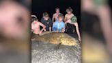 Riverview High School friends catch huge goliath grouper off Turtle Beach, proud dad says