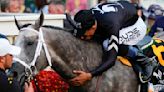 Preakness winner Seize the Grey is likely running in the 1st Belmont at Saratoga