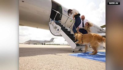 BARK Air, a new airline that puts dogs first, is taking off