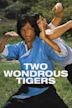 Two Wondrous Tigers