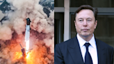 Elon Musk Slams NY Times For 'Misleading Propaganda' On Dwindling Bird Population Due To SpaceX