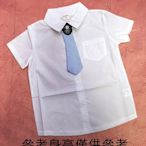新竹實體店面兒童白襯衫畢業白襯衫兒童短袖白襯衫小領帶