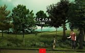 Cicada