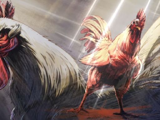 Rooster Fighter To Anime Adaptation; Everything We Know So Far