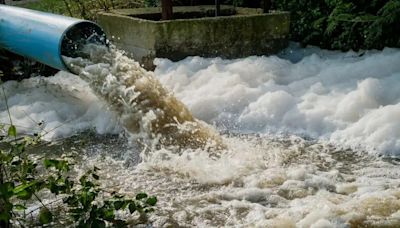 Sarampión, covid-19 y viruela símica: las aguas residuales revelan varias enfermedades