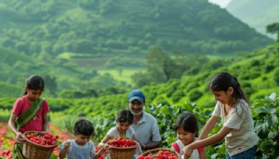 Explore The Top 10 Family-Friendly Activities In Panchgani, Maharashtra