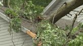 Monday evening storm sends trees crashing into homes in Bedford Twp., MI