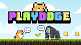 Is PlayDoge the next crypto to explode? Already raised over 2M