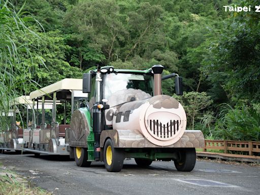 臺北動物園暑假週六夜間開放 探險列車探訪秘境