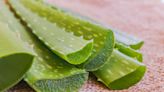 Is Aloe Vera Good for Your Face? Here’s What Experts Have to Say