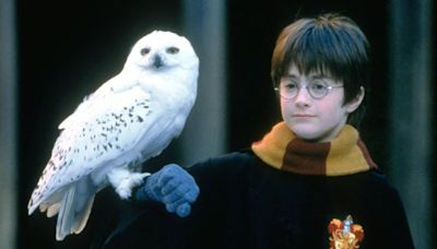 Ha comenzado el casting para encontrar al nuevo Harry Potter