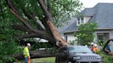 Wichita water main break causes sinkhole; uprooted tree crushes one vehicle