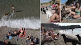 Falta playa para tanto perro en Gijón: el Rinconín perruno se queda pequeño