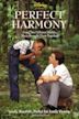 Perfect Harmony (film)