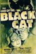 The Case of the Black Cat